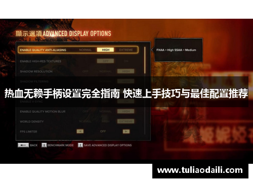 热血无赖手柄设置完全指南 快速上手技巧与最佳配置推荐