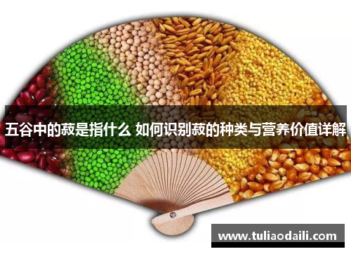 五谷中的菽是指什么 如何识别菽的种类与营养价值详解