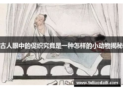 古人眼中的促织究竟是一种怎样的小动物揭秘