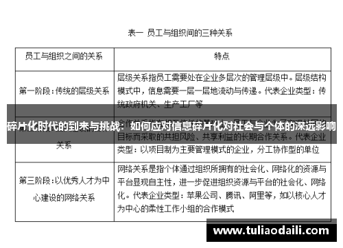 碎片化时代的到来与挑战：如何应对信息碎片化对社会与个体的深远影响